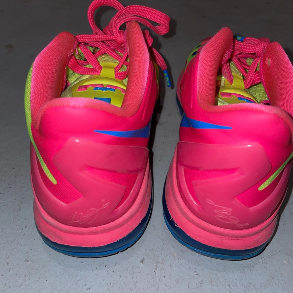 Lebrons - Picture 3 of 4